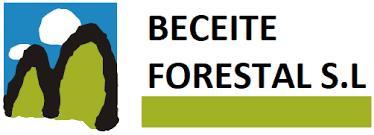 Beceite Forestal